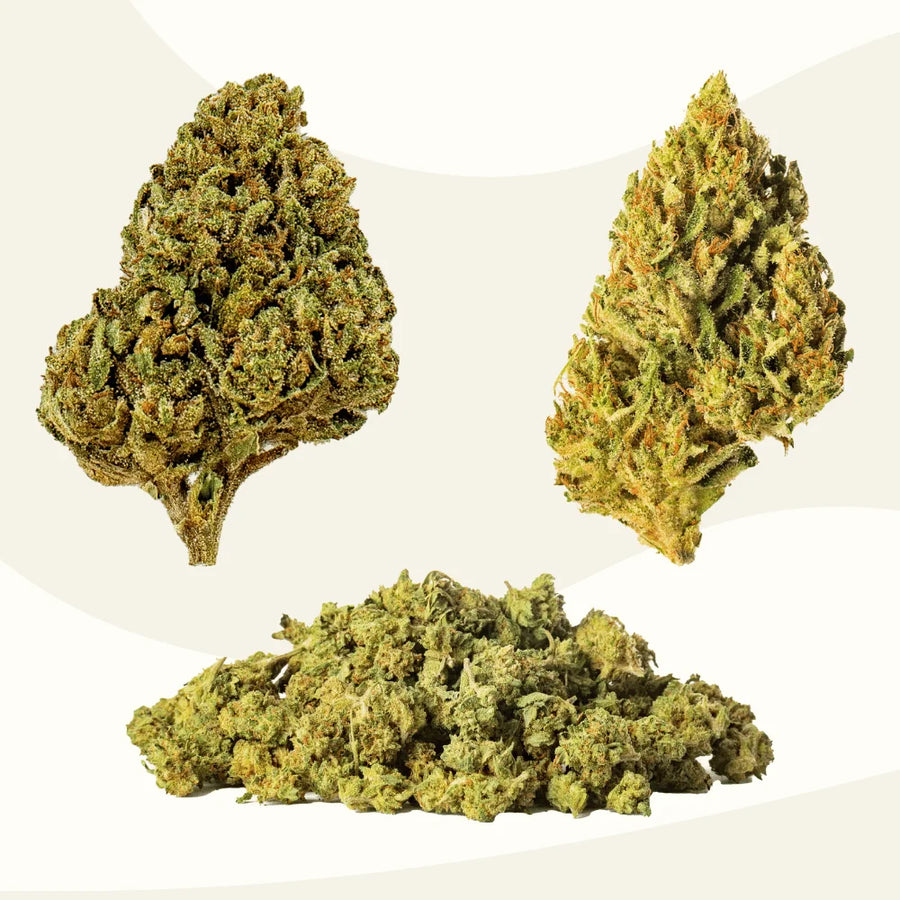 Infiorescenze CBD Slow Weed